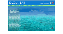 Desktop Screenshot of kaganlab.com