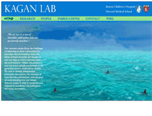 Tablet Screenshot of kaganlab.com